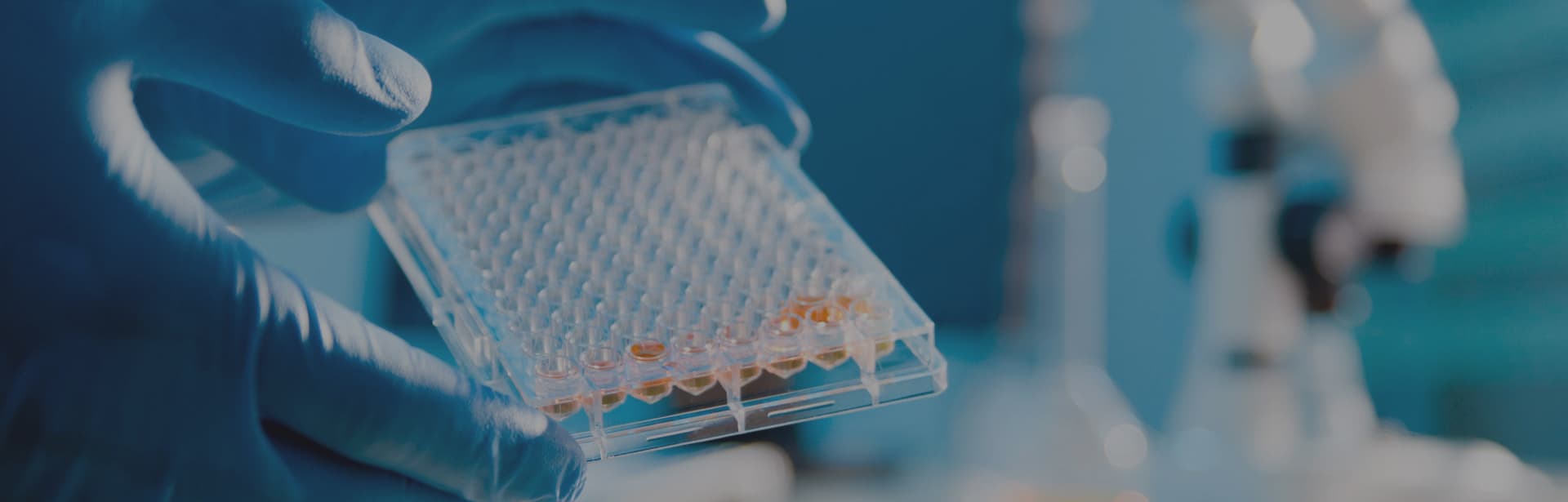 Pharmaceutical Ingredients