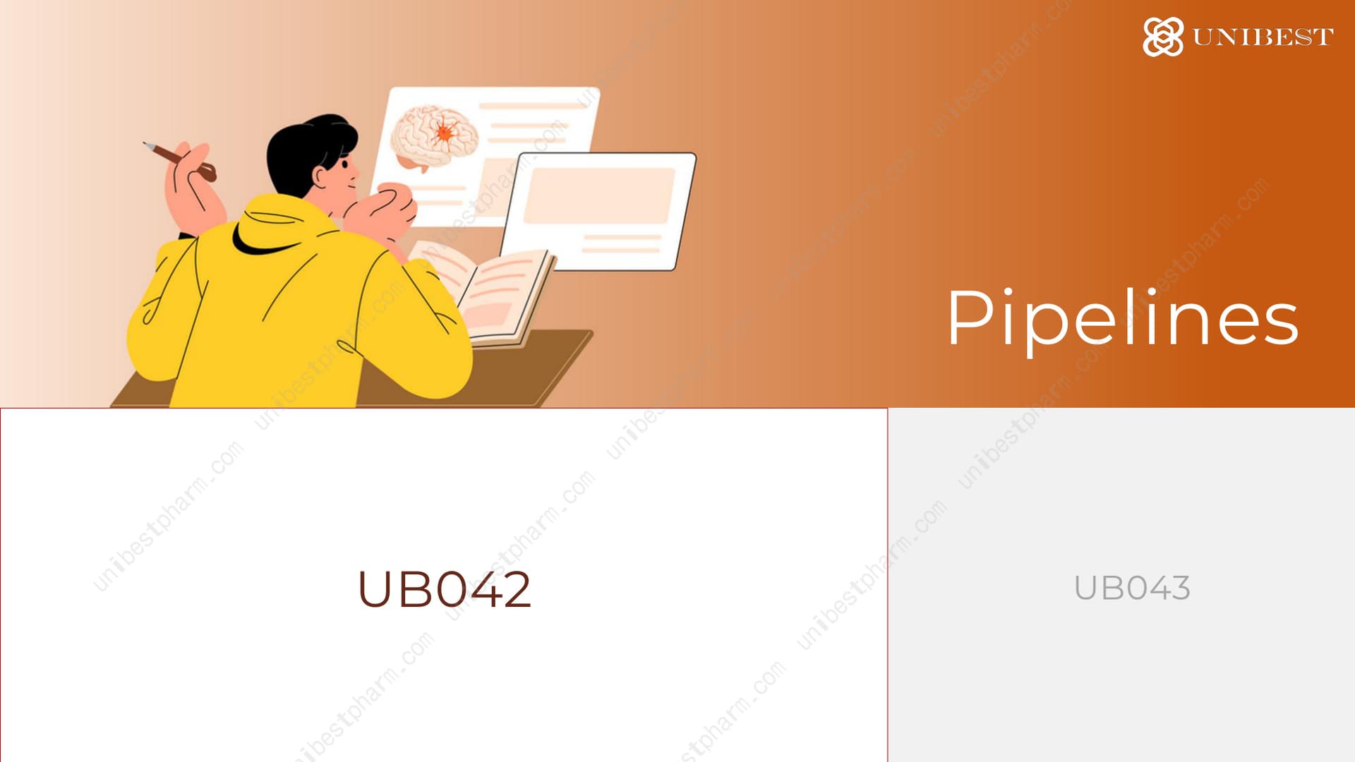 UB043 Asset Materials