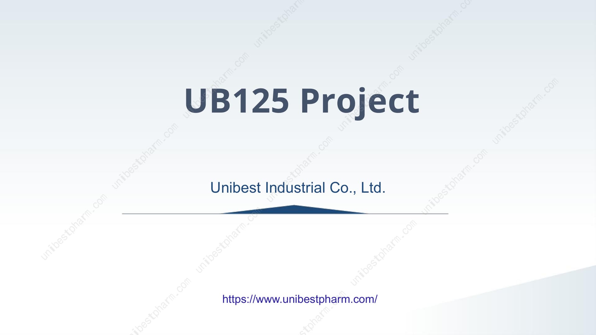 UB125 Asset Materials